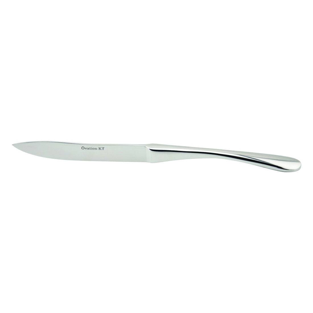 KT807-1 Table Dinner Knife